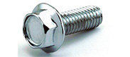 Flange-Bolt